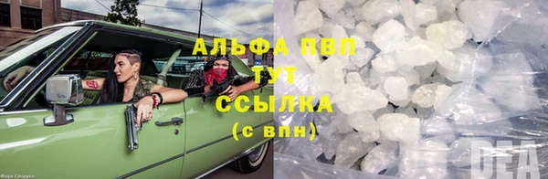 стаф Аркадак