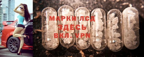 стаф Аркадак