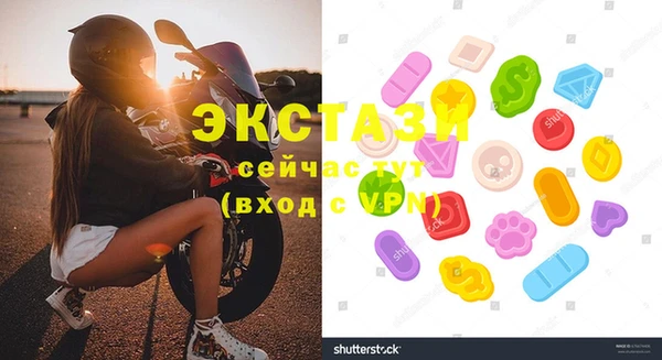 стаф Аркадак