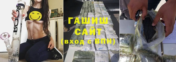 стаф Аркадак